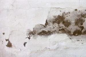 Parede com manchas escuras de mofo e umidade mostrando o problema antes de aprender como tirar mofo das paredes