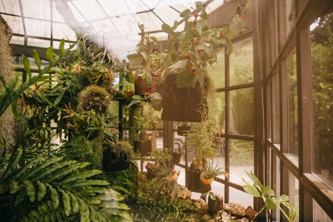 Jardim de inverno com plantas pendentes, samambaias e suculentas suspensas em vasos rústicos ao lado de janelas de vidro com luz natural filtrada