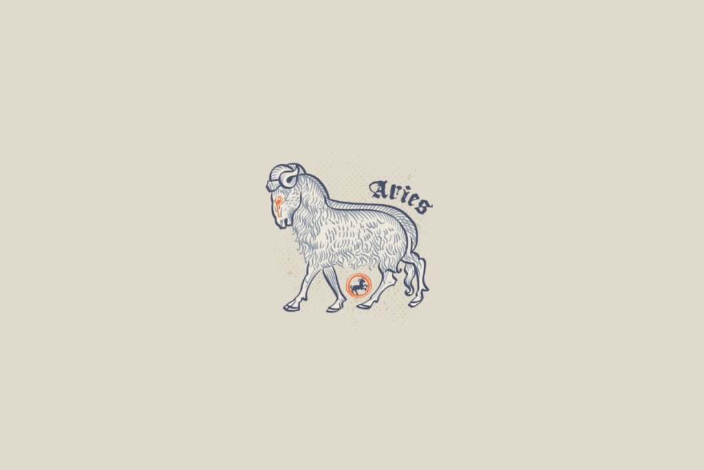 aries-9-1024x683-4